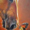 Horse With Butterfly Diamond Painting