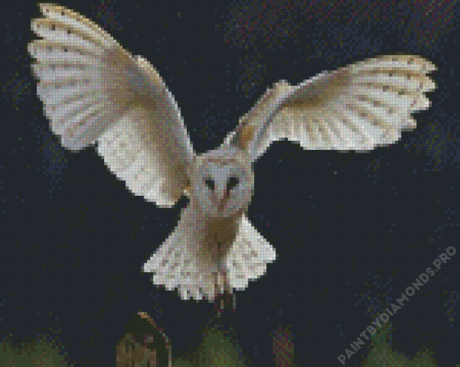 Labyrinth Owl Diamond Painting