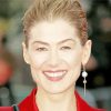 Rosamund Pike Diamond Painting