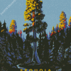 Sequoia National Forest Diamond Painting