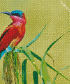 Southern Carmine Bee Eater Diamond Painting