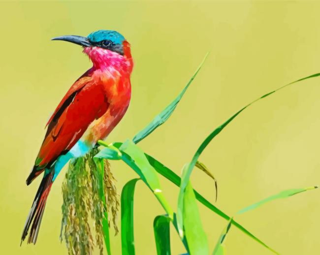 Southern Carmine Bee Eater Diamond Painting