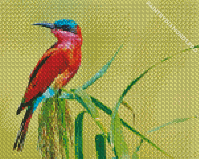 Southern Carmine Bee Eater Diamond Painting