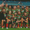 The South Sydney Rabbitohs Diamond Painting