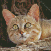 African Wildcat Diamond Painting