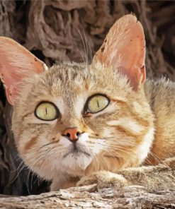 African Wildcat Diamond Painting