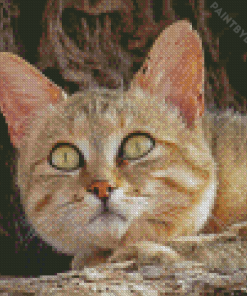 African Wildcat Diamond Painting