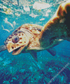 Animal Underwater Diamond Painting