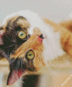 Ginger Cat Playing Diamond Painting