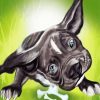 Funny Dog Diamond Painting