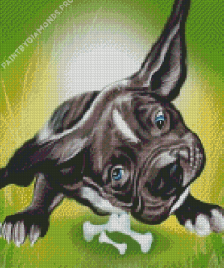 Funny Dog Diamond Painting