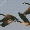 Geese Groupe Flying Diamond Painting