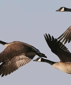 Geese Groupe Flying Diamond Painting