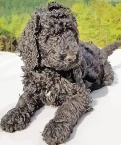 Goldendoodle Dog Diamond Painting