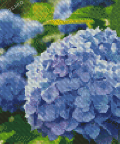 Hortensia Flowers Diamond Painting