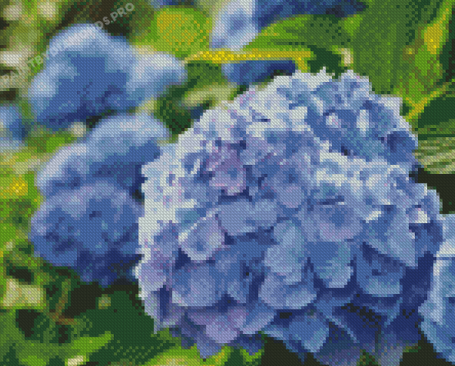 Hortensia Flowers Diamond Painting