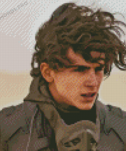 Timothee Chalamet Dune Diamond Painting