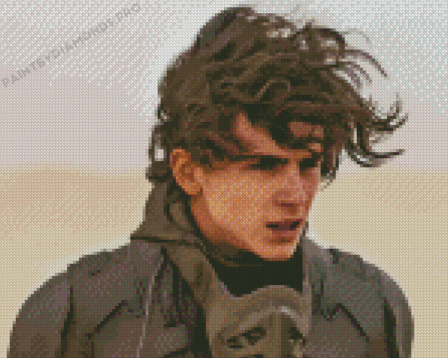 Timothee Chalamet Dune Diamond Painting