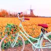 Bike In Orange Tulips Field Diamond Painting