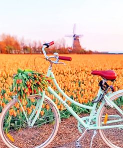 Bike In Orange Tulips Field Diamond Painting