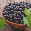 Blackcurrant In Bowl Diamond Painting