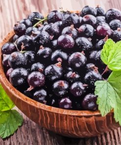 Blackcurrant In Bowl Diamond Painting