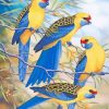 Blue Yellow Rosella Diamond Painting