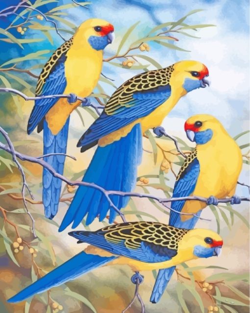 Blue Yellow Rosella Diamond Painting