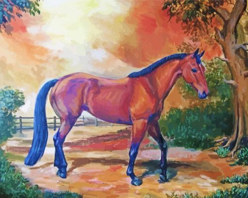 Cool Quarter horse Diamond Painting