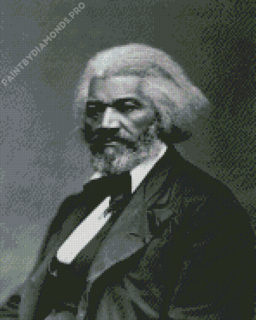 Frederick Douglass Diamond Painting