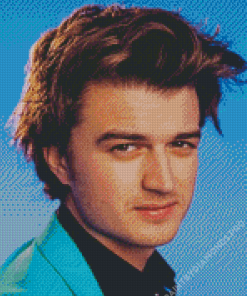 Joe Keery Diamond Painting