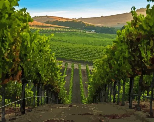 Napa Valley Vineyards Diamond Painting