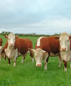 Aesthetic Hereford Cows Diamond Painting