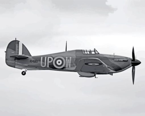 Black And White Hurricane Plane Diamond Painting