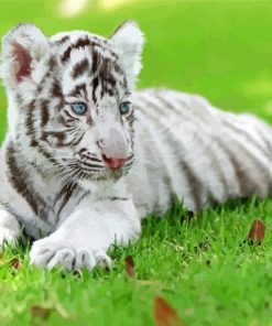 Cub White Tiger Diamond Painting