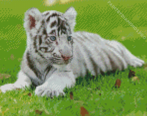 Cub White Tiger Diamond Painting