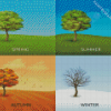 4 Trees Diamond Painting