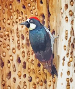 Acorn Woodpecker Bird Diamond Painting