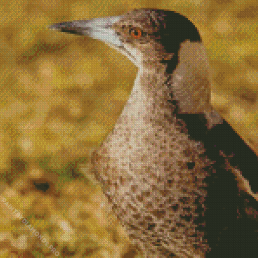 Australian Magpie Bird Diamond Painting