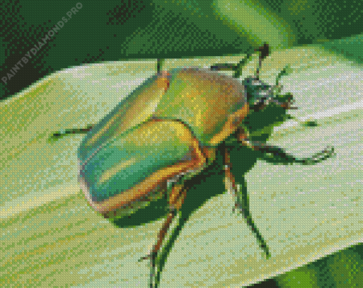 Beetle Bug Diamond Painting