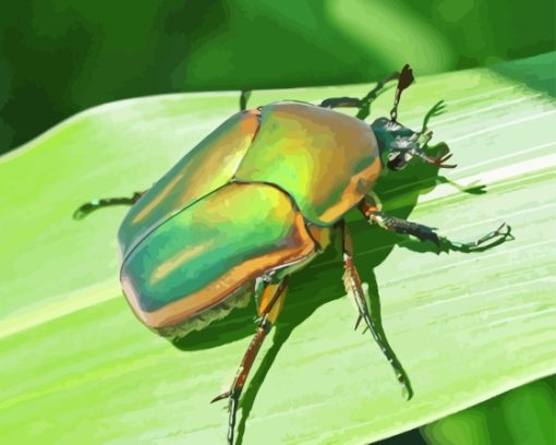 Beetle Bug Diamond Painting