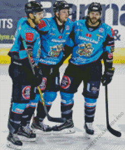 Belfast Giants Players Diamond Painting