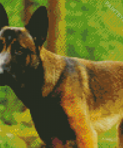 Belgian Malinois Diamond Painting