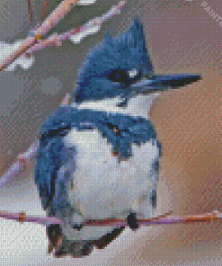 Belted Kingfisher In Snow Diamond Painting