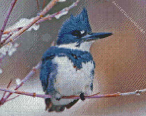 Belted Kingfisher In Snow Diamond Painting