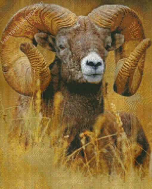 Bighorn Sheep Diamond Painting