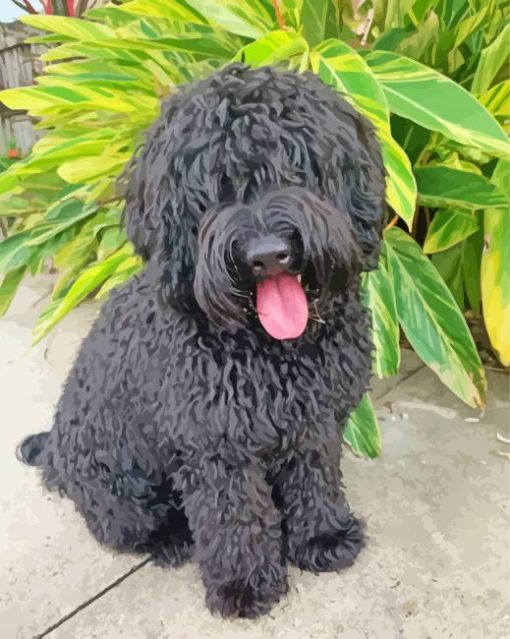 Black Labradoodle Diamond Painting