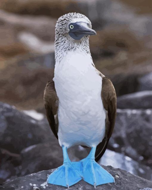 Blue Footed Booby Diamond Painting