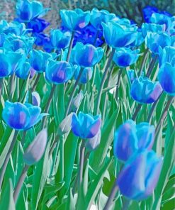 Blue Tulips Diamond Painting