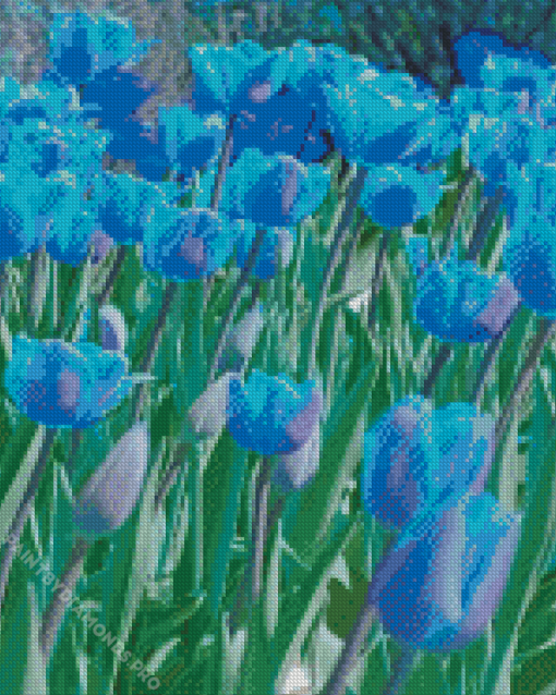 Blue Tulips Diamond Painting